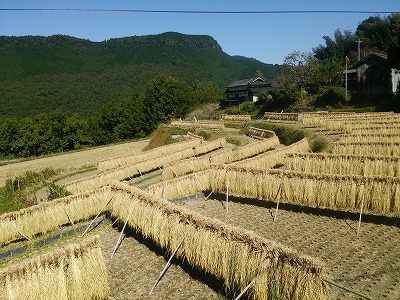 天空の庵ふきの屋景色